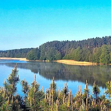Golun 2*